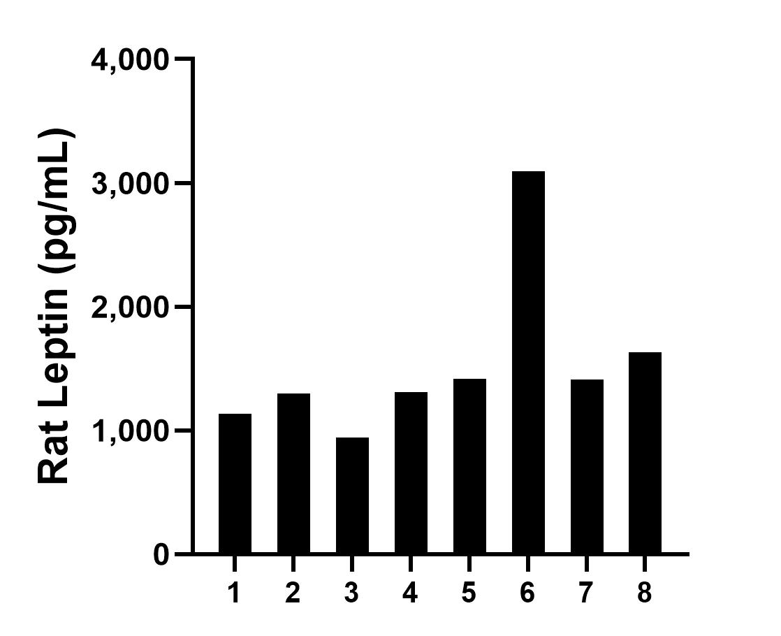 Serum of eight rats was measured. The Leptin concentration of detected samples was determined to be 1,530.4 pg/mL with a range of 943.6 - 3,095.9 pg/mL.
